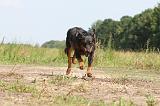 BEAUCERON 038